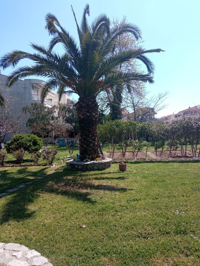 Sofia'S Garden Διαμέρισμα Néa Péramos Εξωτερικό φωτογραφία