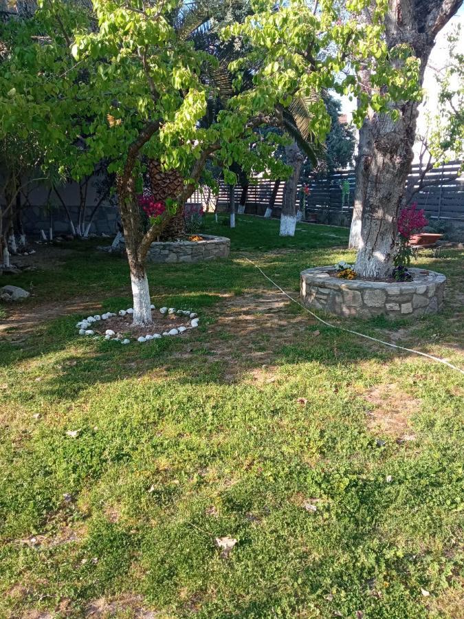 Sofia'S Garden Διαμέρισμα Néa Péramos Εξωτερικό φωτογραφία