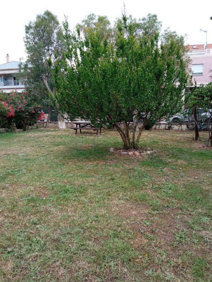 Sofia'S Garden Διαμέρισμα Néa Péramos Εξωτερικό φωτογραφία